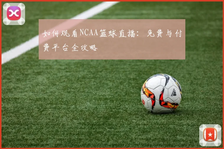 如何观看NCAA篮球直播：免费与付费平台全攻略