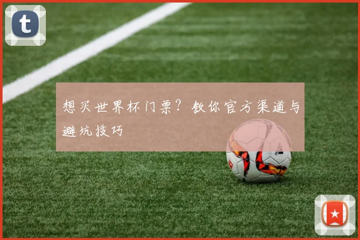 想买世界杯门票？教你官方渠道与避坑技巧