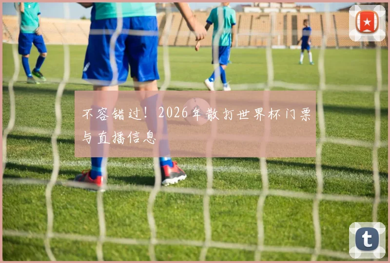 不容错过！2026年散打世界杯门票与直播信息